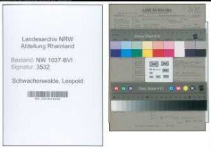 Entnazifizierung Leopold Schwachenwalde , geb. 15.04.1900 (Verw.Angestellter)