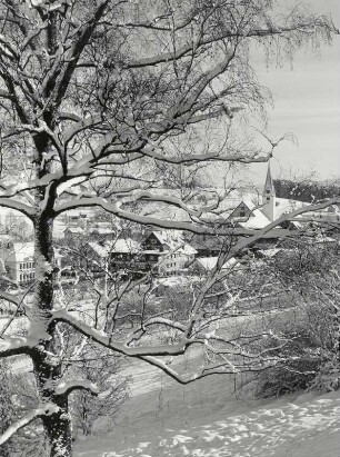 Blick auf Heimenkirch