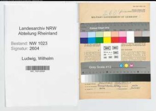 Entnazifizierung Wilhelm Ludwig , geb. 18.07.1902 (Behoerdenangestellter)