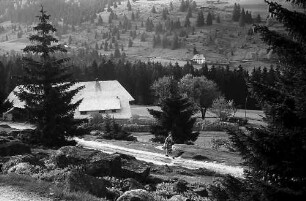 Schwarzwaldhof in Blasiwald