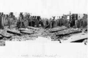 Jüdischer Friedhof mit überwucherten Grabsteinen (Altersgruppe 18-21)J