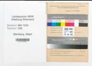 Entnazifizierung Albert Steinberg , geb. 14.10.1899 (Oberstleutnant)
