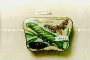 Automatenblechdose, trapezförmig, nach innen gewölbt, für Schokolade/Pastillen? "Abendpfauenauge 2/5 nat. Grösse nebst Raupe nat. Gr. u. Puppe 2/3 nat. Grösse Hartwig und Vogel."