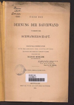 Über die Dehnung der Bauchwand während der Schwangerschaft