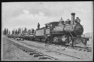 Arizona. A Logging Train in Arizona