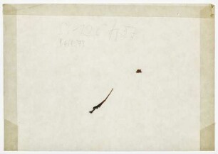[Beil. 73]