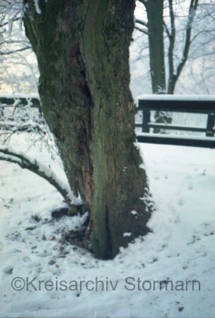 Nütschau: Schloßstraße / Nütschauer Weg: Donnerbrücke über die Trave: im Winter: Geländer: im Vordergrund Baum
