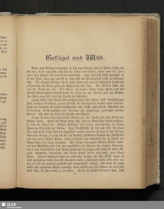 Geflügel und Wild