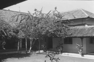 Bungalow mit blühenden Bougainvillea : Blick in einen Innenhof eines Gebäudes mit Bäumen