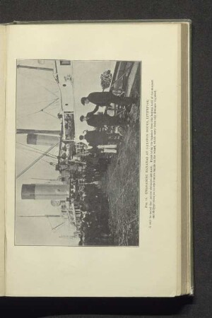 Fig. 15 Unloading bananas at garston docks, liverpool