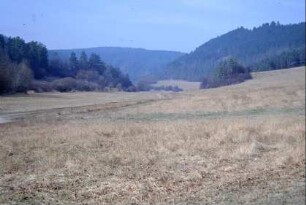 Landschaft bei Dosdorf, im hinteren Teil des Tales ist ein Uhu-Reservat
