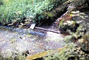 Trittau: Mühlenau