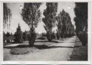 Stendal, Stadtpark