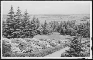 Kamenz. Azaleen - Anlagen auf dem Hutberg