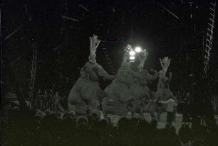 Circus Krone, Hannover, 1978