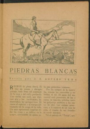 Piedras blancas : Novela