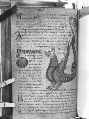Liber Floridus Lamberti Canonici — De Dragone, Folio 60verso