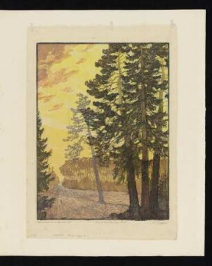 Am "A" der Dresdner Heide