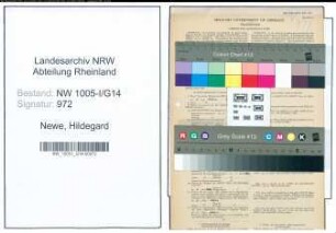 Entnazifizierung Hildegard Newe , geb. 01.10.1915 (Geschaeftsfuehrerin)