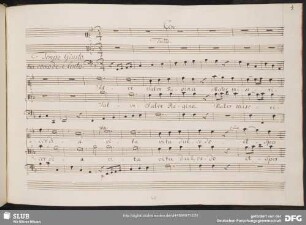 Salve regina