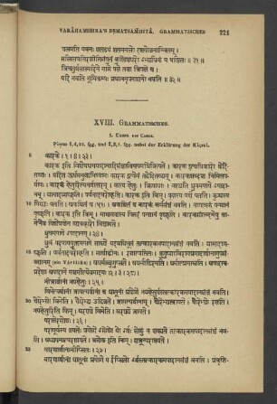 XVIII. Grammatisches.