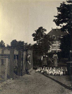 Der Königstein