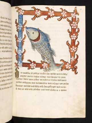Walfisch