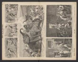 Bilder aus dem Alterthume, XVIII: Die Römer