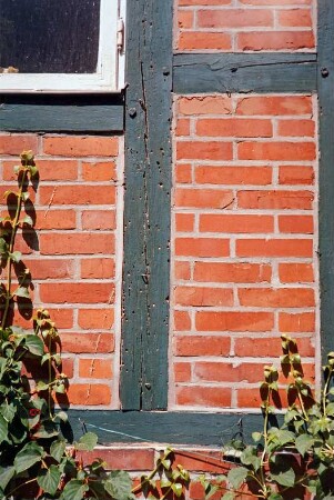 Am Mühlenteich 6-8: Sonnenhof: Wohnhaus aus Fachwerk: Außenwand, Detailaufnahme: Holzbockbefall in Fachwerk: Juni 1999