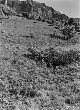 Die Drakensberge : Felswand in den Ausläufern der Drakensberge ("Drachenberge")