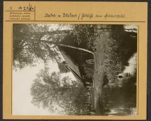 Spreewald: Transportkähne und Heuschober. : Błótowska krajina: Ze słomu skryte domske.