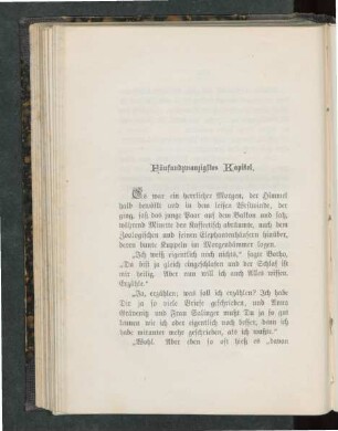 Fünfundzwanzigstes Kapitel.