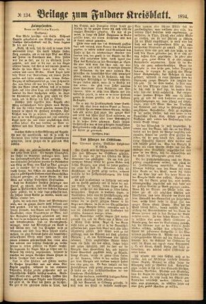 Zweite Ausgabe vom Samstag, den 10. November 1894.