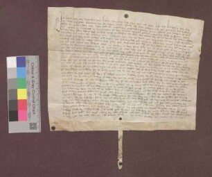 Hans Boltz und Hans Hesse reversieren gegenüber der Äbtissin zu Lichtenthal wegen des ihnen zu Erblehen verliehenen Klosterhofs zu Liedolsheim.