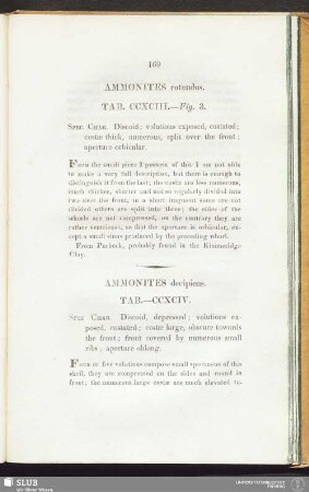 Ammonites rotundus. Tab. CCXCIII. — Fig. 3