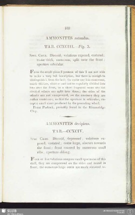 Ammonites rotundus. Tab. CCXCIII. — Fig. 3