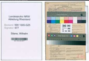 Entnazifizierung Wilhelm Stiene , geb. 26.09.1901 (Kaufmann)
