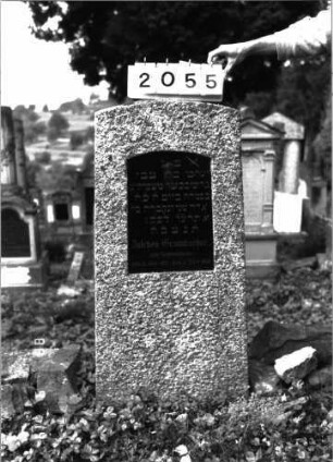 Grabstein 2055 (Index: 100096939) Maße HxBxT: 126x54x24 cm Besonderheit: Seite im Bamberger Memorbuch fehlt: Grabstein 2055