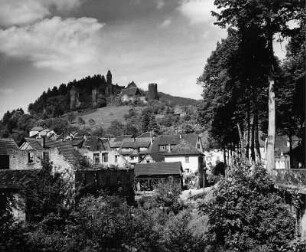 Hirschhorn (Neckar). Stadtteilansicht