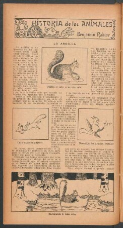 La ardilla : Historia de los animales