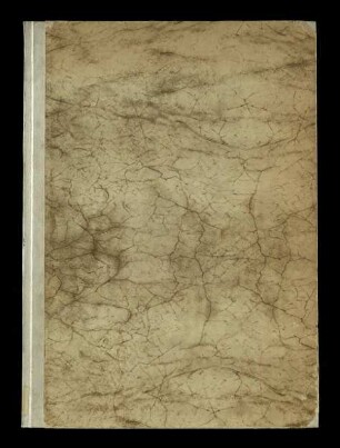 Codice frammentario della Divina commedia di Dante Allighieri
