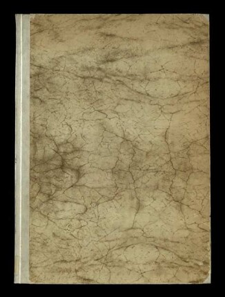 Codice frammentario della Divina commedia di Dante Allighieri