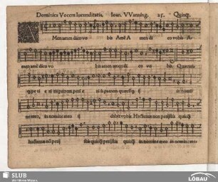 25. Amen dico vobis