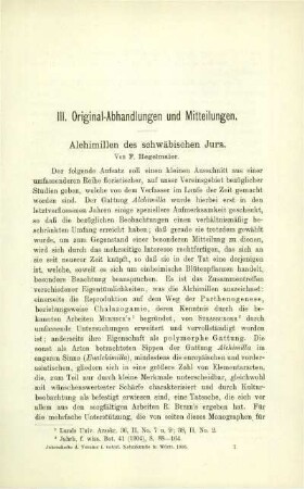 Alchimillen des schwäbischen Jura