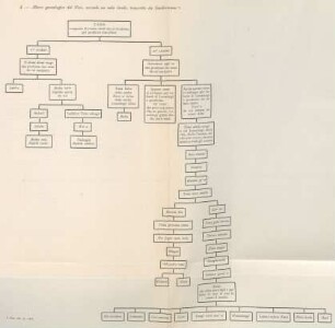 A. - Albero genealogico dei Nías, secondo un mito locale, trascritto da Sundermann