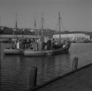 Saßnitz. Fischereihafen mit Fischerbooten