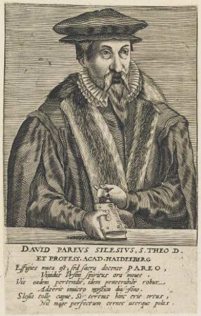 Bildnis des David Pareus