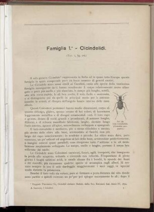 Famiglia 1. - Cicindelidi. [bis] Famiglia 10. - Paussidi.