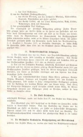 X. Die Stadt Gelnhausen.