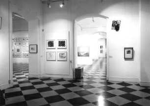 Dresden. Ausstellung "Wort und Weise. Exemplarisches aus der Sammlung Reiner Speck, Köln" im Georgenbau des Dresdner Schlosses vom 06.06.-22.08.1990. J. Konnellis, geboren 1936, ohne Titel, Tusche, Papier, G. Herold, geboren 1947, Empty Mountain, Farbphoto, J. Konnellis, ohne Titel, Öl, Ruß, Metall, Farfalla, Multipler Offsetdruck